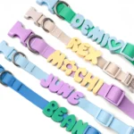 Personalized Waterproof Dog Leash + Collar Set with Charms