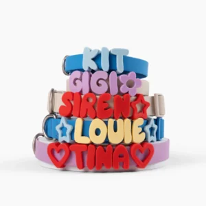 Collar with charms only