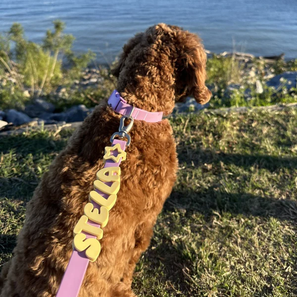 Waterproof Collar+Leash set with Name Charms - Image 7