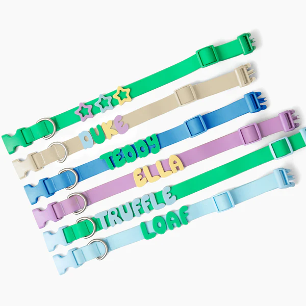 Waterproof Collar+Leash set with Name Charms - Image 3