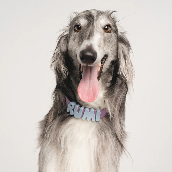 Waterproof Collar+Leash set with Name Charms - Image 4