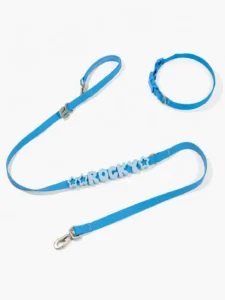 Waterproof Dog Collar with Charms + Matching Leash - Set