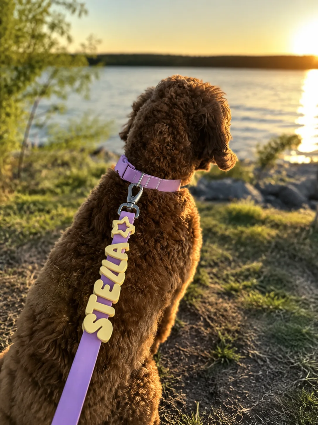 Waterproof Collar+Leash set with Name Charms - Image 9