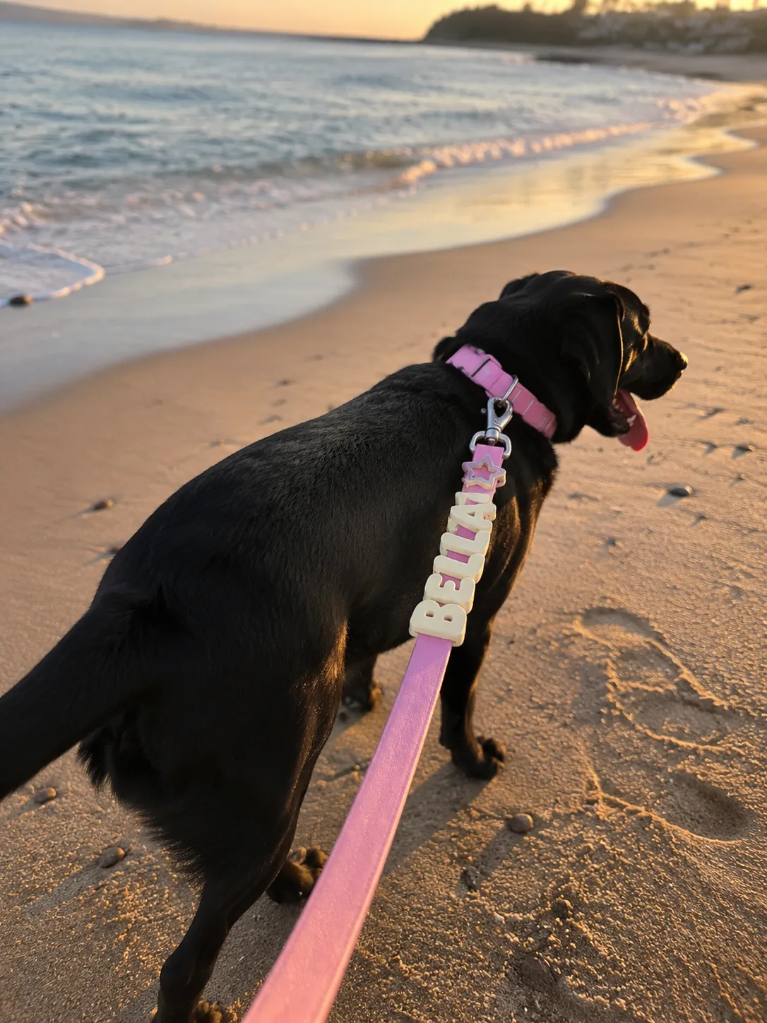 Waterproof Collar+Leash set with Name Charms - Image 10