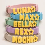 Waterproof Collar+Leash set with Name Charms