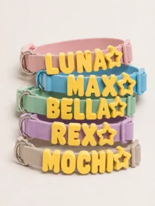 Waterproof Collar+Leash set with Name Charms